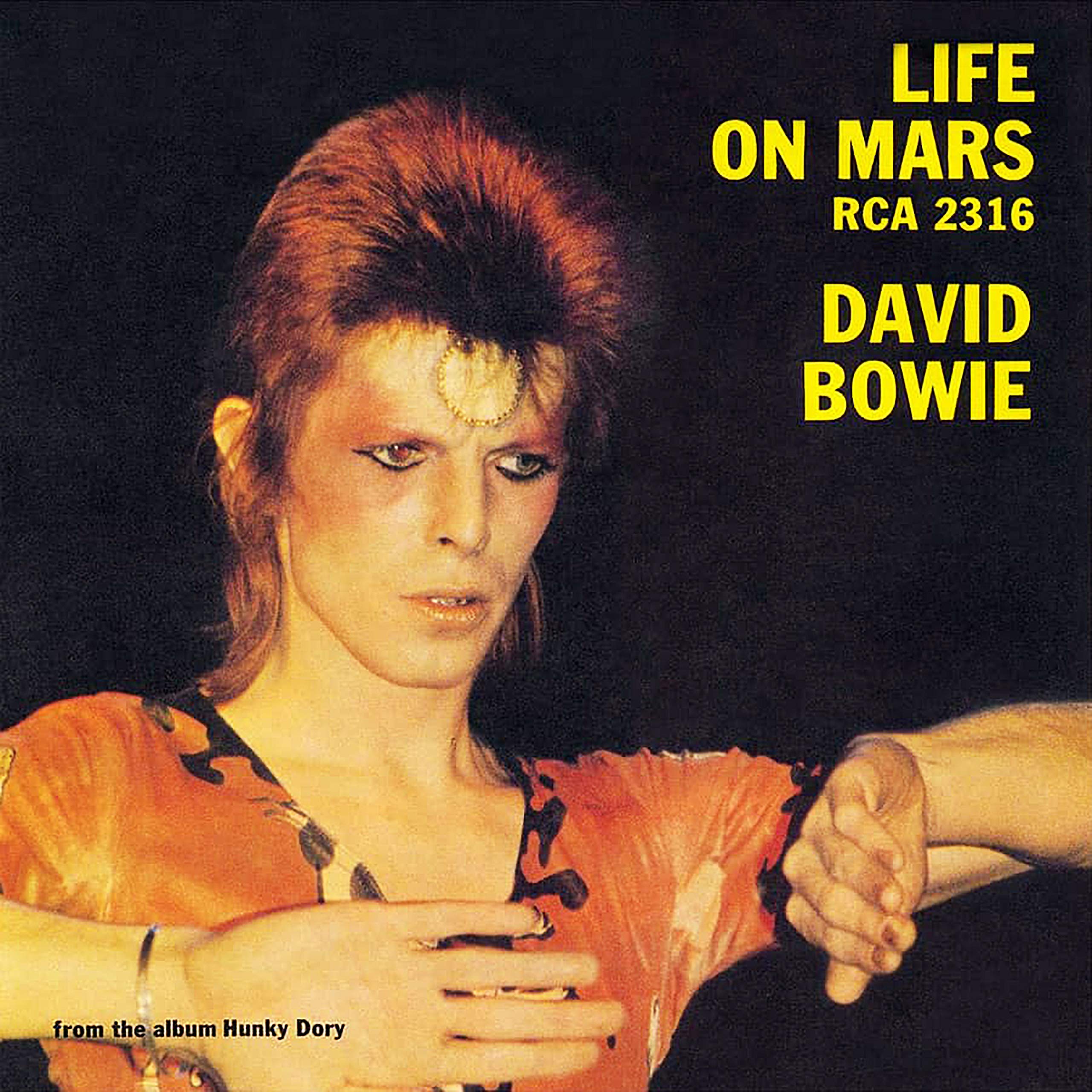 Life on Mars? – Eccentric, Strange, Profound, Yet Lovable